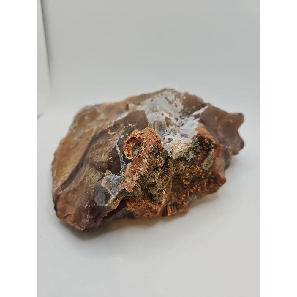 Opalized Agatized Petrified Wood Lapidary  39.2 Oz Common Opal Raw Uncut Display